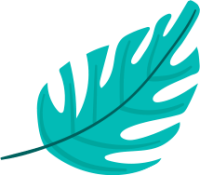 leaf leaf